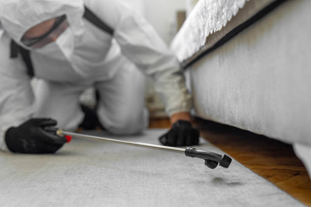 Professional Termite Control technician working in New Eagle, PA