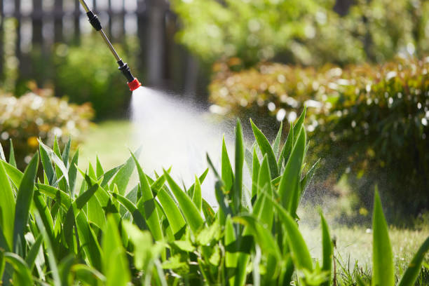 24/7 Emergency Termite Control experts in New Eagle, PA