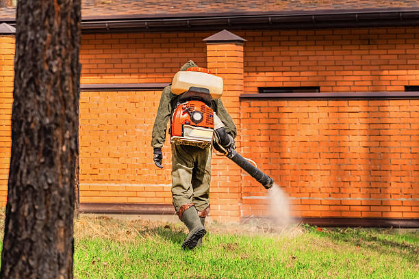 Top rated local Termite Control specialists in New Eagle, PA